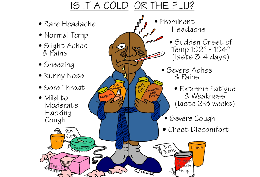 Image result for flu